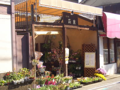 �ֲ�����ֲֵ���