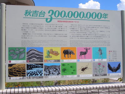 �������