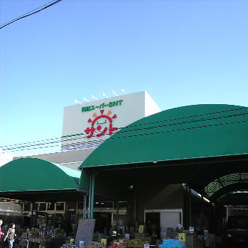 �䲰�����ѡ��ӣΣ�