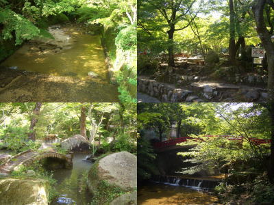 �䲰Ʋ����ηʿ�