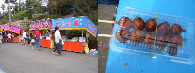 ����Ȥߤ��餷�Ļ�