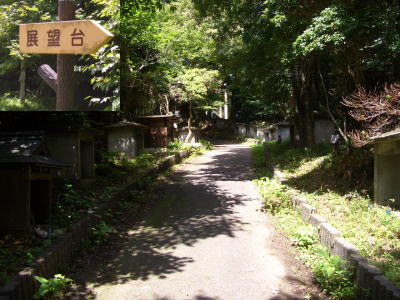 ��־줫��Ÿ˾��ؤ�ƻ