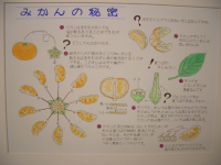 �ߤ������̩