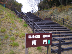 森林公園植物園南門