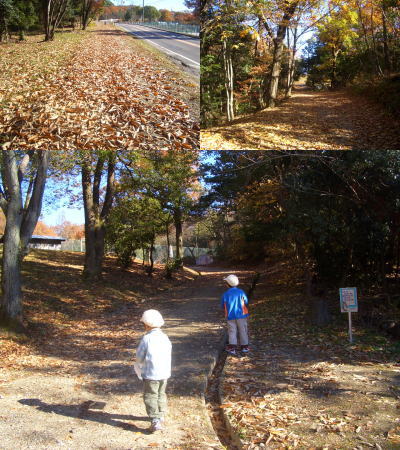 �Ҷ��Ȼ��⤷�ʤ��龾�ܤä���õ��