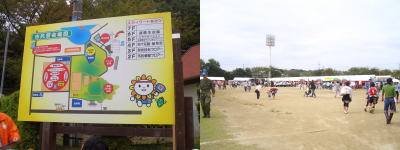 ��̱�ײ��Ȱ����