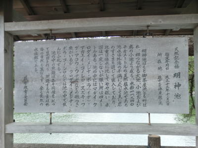 ����������ԤδѸ�̾��Σ���������