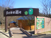 �����δ�ͷ��