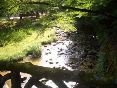 �䲰Ʋ�����ή�����ȷʿ�