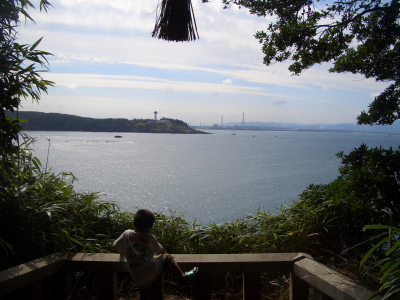 ͺ������