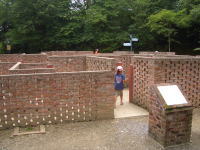 ����¼�μ�α�����ϩ