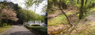 �ָ�100��ǯ��ǰ�ǽ��褿�����Τ������