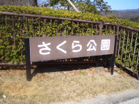 さくら公園