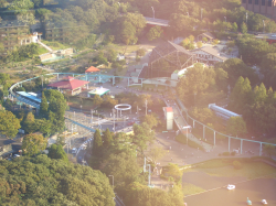 �ʿ���ưʪ���