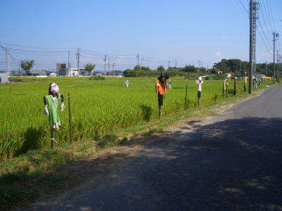 案山子のある田んぼの風景