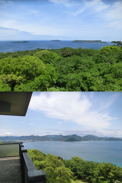 ��ϻ��ȸƤФ��������ʿ�