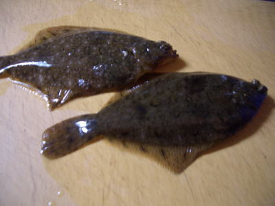 ��̤ϥ��쥤��ɤ�ȥ�Х�ʤɷף���ɤ