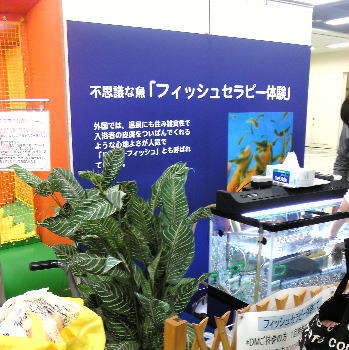 フィッシュセラピー