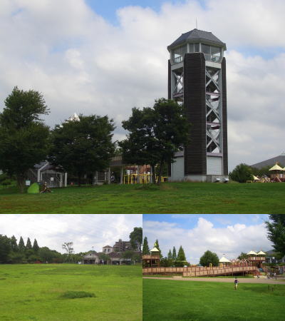 ���������Ÿ˾��