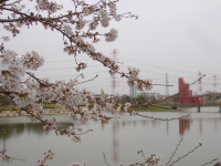 ����������?