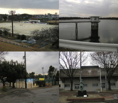 Φ�嶥���졢�����ΰ�ۡ���ƻ�졢�ƥ˥������ȤȻ�����