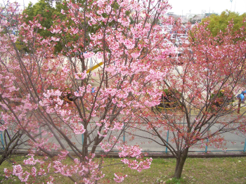 ���ع��᤯�κ�