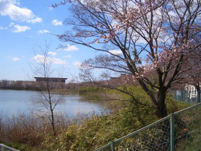 ��ĥ���Ԥˤ����ӤȺ�������