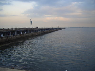 名古屋 港 海 釣り 公園