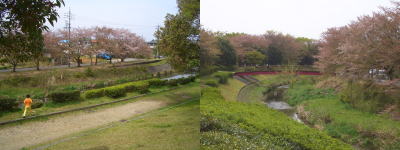 Ȭ������������