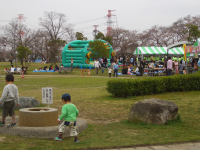 ����������?