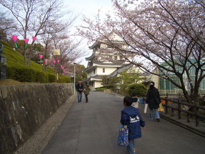 尾張旭市にある城山公園の桜まつり