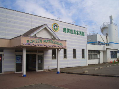 ���������²��