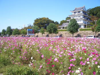 ����ȥ����⥹Ȫ