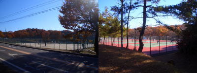 ���ս�Υƥ˥��������ն�