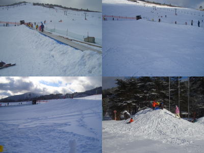 �Х�ӡ��ι���