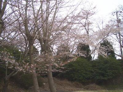 ���򸫤ʤ���ָ�����