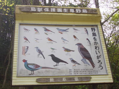 �С��ɥ����å���