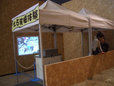 ����ȯ���θ�