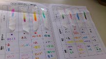 実験 ペーパークロマ トグラフィー クラ ゼミ先生の日記