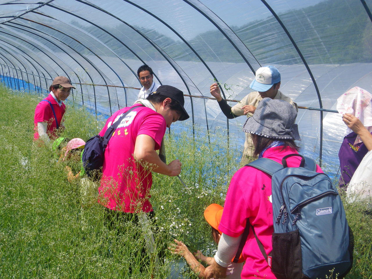 柳津町西山地区で花育を行いました 会津坂下農業普及所ブログ 今日も現地活動中