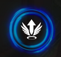 mer006