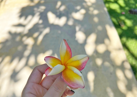 B82F44AF-34A8-4E09-BB77-E3F589C38BA9