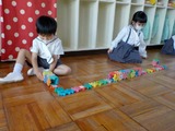 DSCN6701