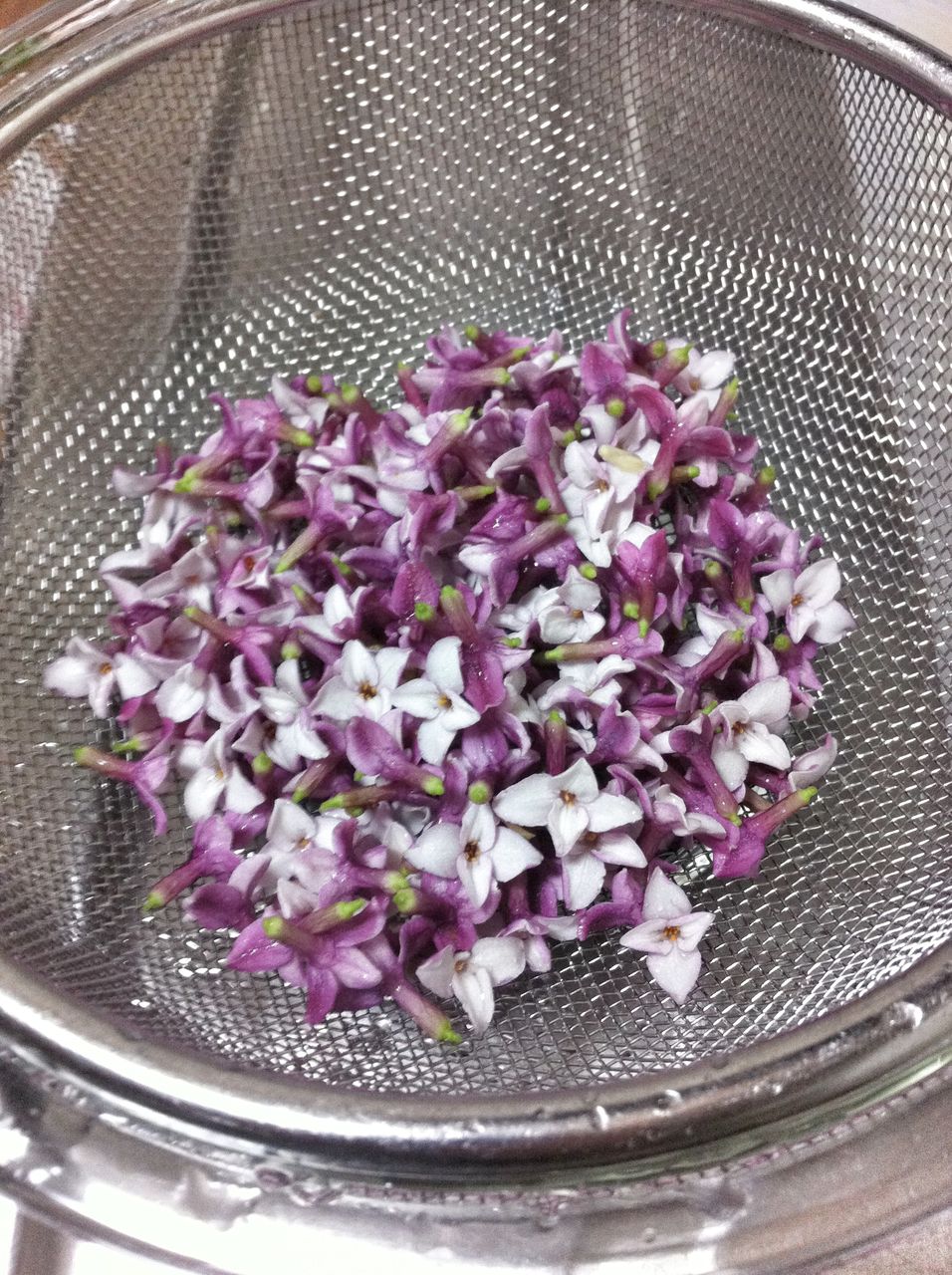 沈丁花でローションを作りました 藍色工房 あいいろこうぼう オフィシャルブログ 沈丁花でローションを作りました 藍色工房 あいいろこうぼう オフィシャルブログ