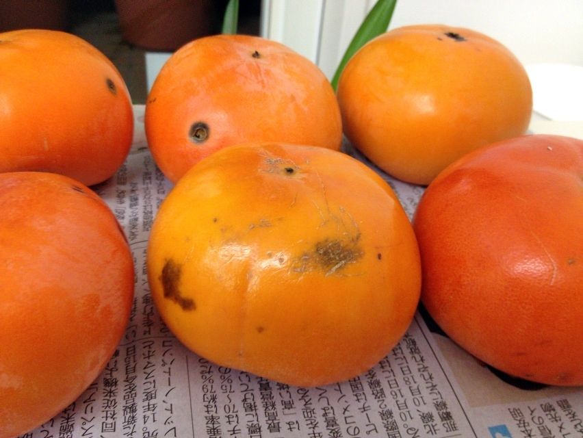 し すぎ 保湿