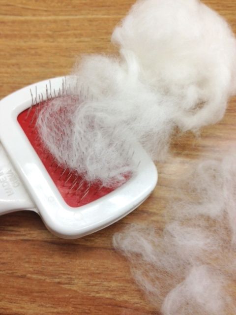 綿の紡ぎはじめから 撚り止めまでのお話 藍色工房 あいいろこうぼう オフィシャルブログ 綿の紡ぎはじめから 撚り止めまでのお話 藍色工房 あいいろこうぼう オフィシャルブログ