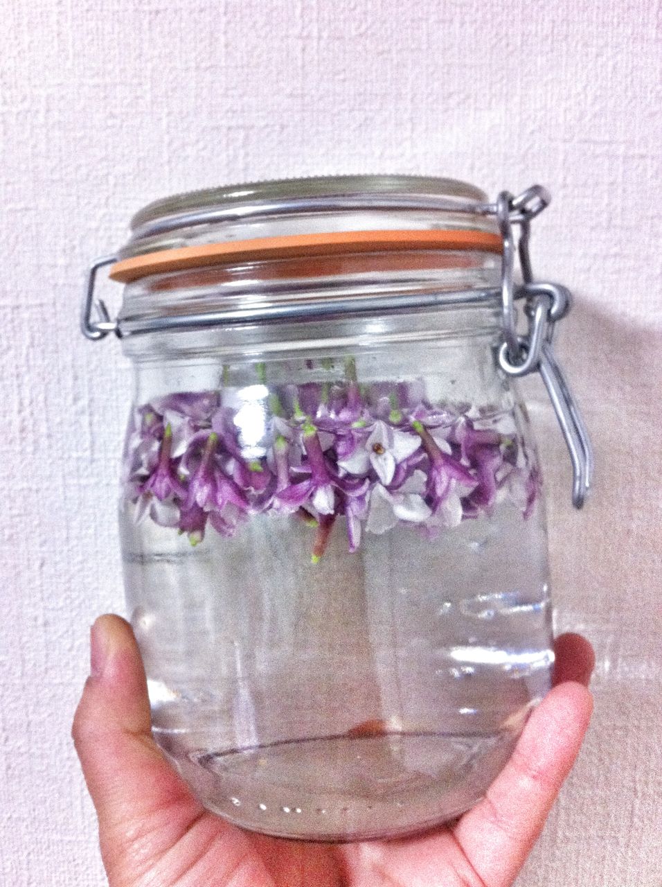 沈丁花でローションを作りました 藍色工房 あいいろこうぼう オフィシャルブログ 沈丁花でローションを作りました 藍色工房 あいいろこうぼう オフィシャルブログ