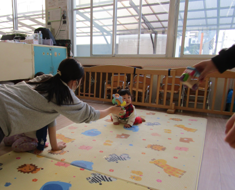 明石　保育園　ひよこ