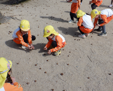 明石　保育園　４歳児