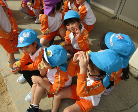 明石　保育園　いも